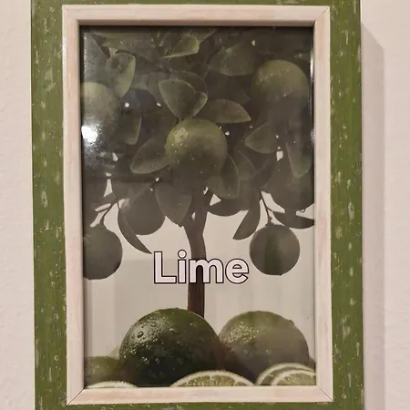 B&B Linea Verde-3